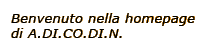 Benvenuto nella homepage di A.DI.CO.DI.N.