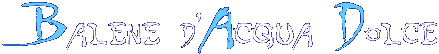 Balene d'Acqua Dolce