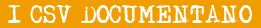 I CSV documentano