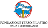 Logo della Fondazione Roma - Terzo Settore