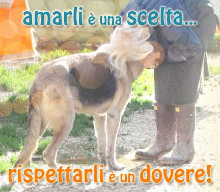 Amarli è una scelta, rispettarli un dovere.