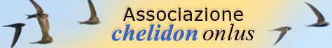 Associazione 'Chelidon Onlus'