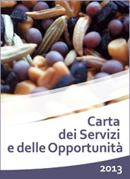 La Carta dei Servizi e delle Opportunità; documento PDF Acrobat (723 Kb); si apre in una nuova finestra.
