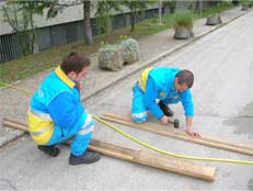 Apri l'ingrandimento in una nuova finestra (70 Kb)