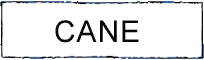 CANE