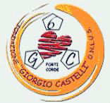 Logo Fondazione Giorgio Castelli onlus